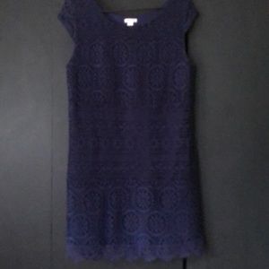 Lace navy blue shift dress